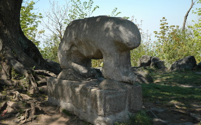Niedźwiedź – starożytna rzeźba kultowa na szczycie Ślęży